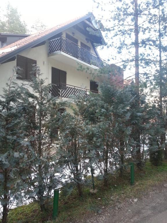 Apartment 9 Gorska Vila Ζλάτιμπορ Εξωτερικό φωτογραφία