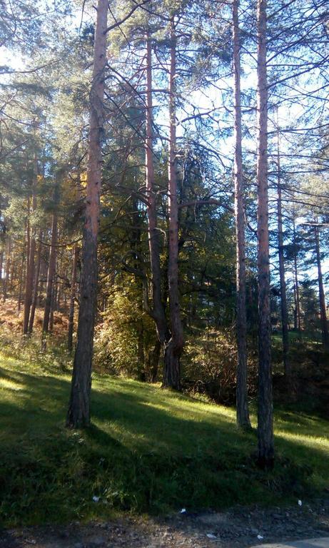 Apartment 9 Gorska Vila Ζλάτιμπορ Εξωτερικό φωτογραφία
