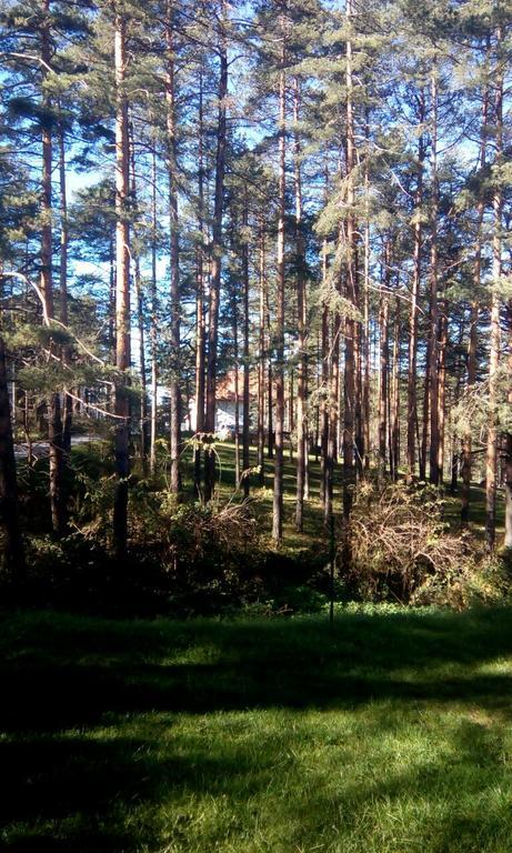 Apartment 9 Gorska Vila Ζλάτιμπορ Εξωτερικό φωτογραφία